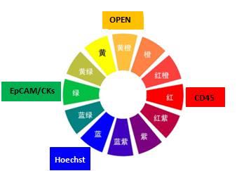C:\Users\ADMINI~1\AppData\Local\Temp\WeChat Files\557897007960541871.jpg